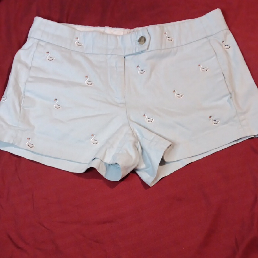 J. Crew Light Blue Embroidered High Waist Shorts